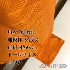 結城紬 単衣 湊鼠色 紋なし トールサイズ - メルカリ