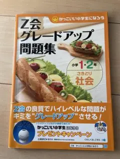 z会グレードアップ問題集