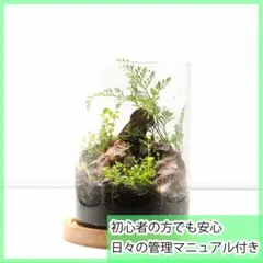 水を入れるだけですぐに始められる ミニチュアランドスケープ