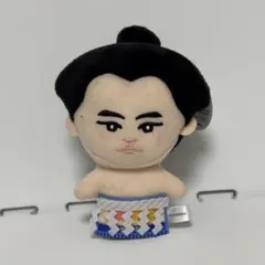 横綱 豊昇龍 フィギュア 番付表付き 横綱 豊昇龍 フィギュア 番付表付き - メルカリ