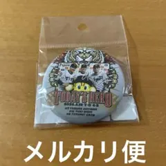 THE DAY記念グローブチャーム 井上尚弥VS中谷潤人 ゴールド - メルカリ
