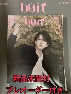 スキズ　Do It アコーディオンver. チャンビン