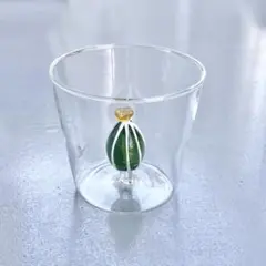 サボテン