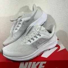 27cm Nike Air Zoom Pegasus 39 DH4071-100
