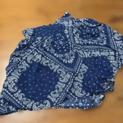 Item thumbnail for item 80a35a17-5b6c-4472-bae5-cd2eecd4e58e