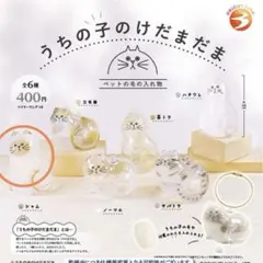 うちの子のけだまだま　シャム