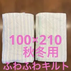 敷きパッド キルティング2枚セット 100×210cm ストライプ柄