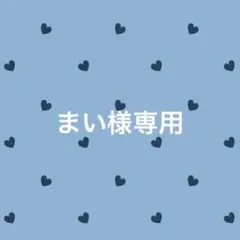 まい様専用 大きめ可愛い ペーパークリップ バインダー貯金 h15