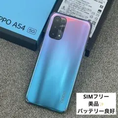 動作良好）美品✨OPPO A54 5G ファンタスティックパープル　SIMフリー