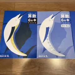 予習シリーズ　演習問題集 算数 6年下　有名校対策　四谷大塚