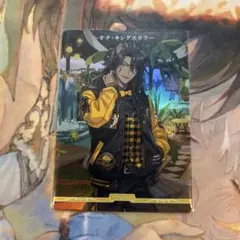 【匿名配送】ビルディバイドブライト　VT レオナのサムネイル