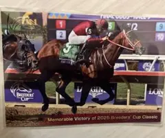 2026年最新】フォーエバーヤンの人気アイテム - メルカリ