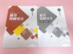 2025年最新】ウイニングサマーの人気アイテム - メルカリ