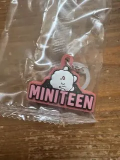 MINITEEN ガチャガチャ ウジ SEVENTEEN
