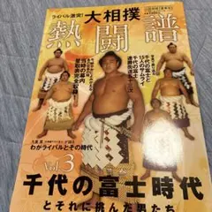 大相撲熱闘譜