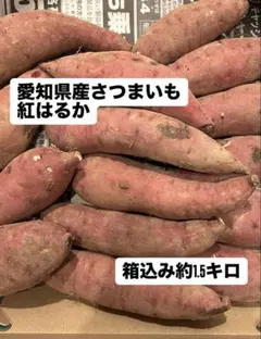 さつまいも 紅はるか 約1.5kg