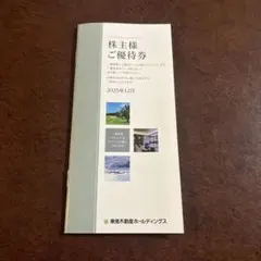 東急不動産ホールディングス　株主優待