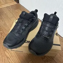 サロモンSENSE RIDE 5 GORE-TEX 26.5のサムネイル