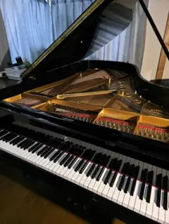 2026年最新】Steinwayの人気アイテム - メルカリ