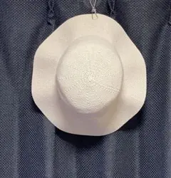 Item thumbnail for item 1e016d5a-6cbc-44ca-9331-e3c5a1732c1e