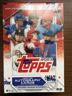 ドジャース パヘス 直筆サイン 2024 WS champs ボール PSA - メルカリ