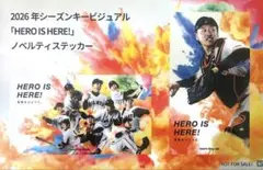 shoichi様 リクエスト 3点 まとめ商品