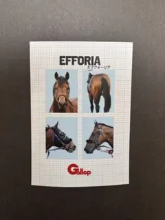 名馬　証明写真風コンビニプリント　エフフォーリア　Gallop