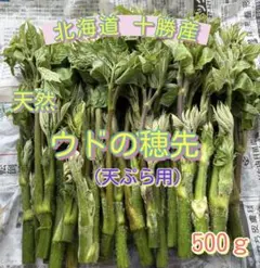 ③北海道十勝産 天然山ウド【若芽】 500g - メルカリ