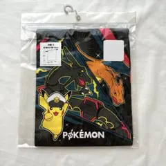 ポケモン　ピカチュウ　巾着S 小　コップ袋　小物入れ　レックウザ　リザードン
