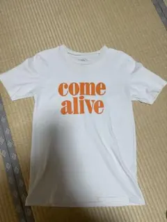 Mixta 半袖Tシャツのサムネイル