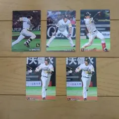 プロ野球チップスカード　ソフトバンクホークス