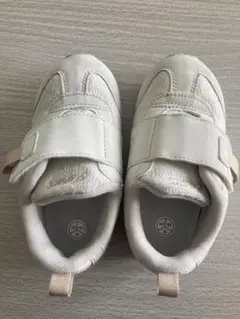 Item thumbnail for item 3261b561-20d4-49f1-a42d-fb19ec7d5789