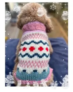 フェアアイル柄 カラフルニットペット服