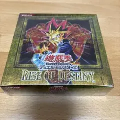 2025年最新】ライズオブデスティニーの人気アイテム - メルカリ