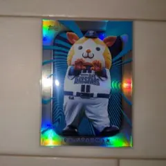 TOPPS 2026 NPB 横浜DeNAベイスターズ DB.スターマン