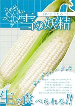 雪の妖精 とうもろこし 農家直送のサムネイル