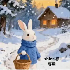 shiori様 リクエスト 2点 まとめ商品