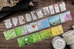 Item thumbnail for item 4f9a2f76-f2b9-4695-ad1b-d89e3fe71485