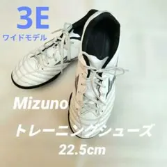 Mizuno Monarcida 3E ワイド トレーニングシューズ　TF用