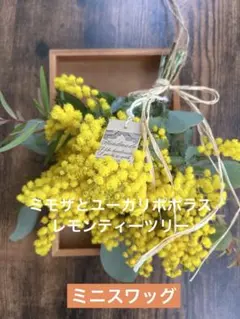 ミモザとユーカリポポラス＊レモンティーツリー＊香りのミニスワッグ