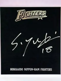 早い者勝ち！ 斎藤佑樹投手 直筆サイン 北海道日本ハムファイターズ 現役引退 斎藤佑樹投手 直筆サイン球団公式色紙 北海道日本ハム