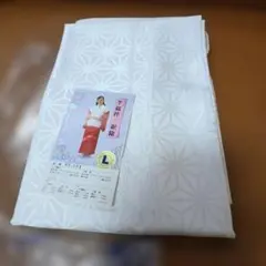 Item thumbnail for item 4134310a-0569-410c-9fc0-5b99b30a963b