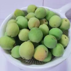 【岩手県産】梅１ｋｇ　梅干し、梅ジャム、梅酒などにのサムネイル