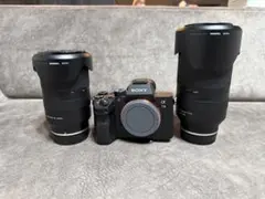 シャッター478枚】SONYα7III レンズキット SD64GB×2付極美品 - メルカリ