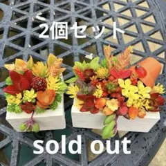 多肉植物 手渡し 受け付けページ 大阪府堺市（ミニポット寄せ植えプレゼント付！） 多肉植物 手渡し 受け付けページ 大阪府堺市（ミニポット寄せ植え