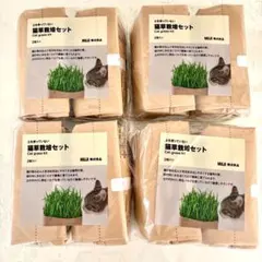 無印　猫草　栽培セット　8個のサムネイル