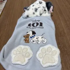 ペットパラダイス ディズニー 101匹わんちゃん 3S お腹周りに汚れあり