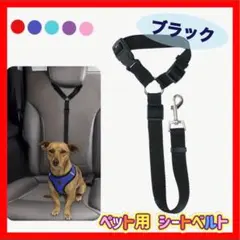 Item thumbnail for item e1a29570-8249-49fa-8335-82370c9b0dc8