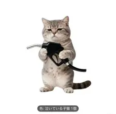 Item thumbnail for item 2b65c478-90a3-4bb6-aeef-c8ddffa71da7