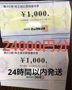 ビックカメラ・コジマ 株主優待券 24000円分